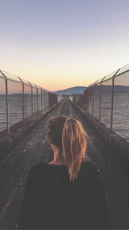 護(hù)欄網(wǎng)